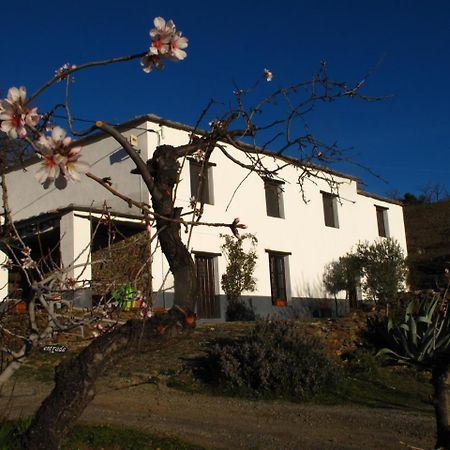 Casa Rural El Paraje De Bérchules Eksteriør billede