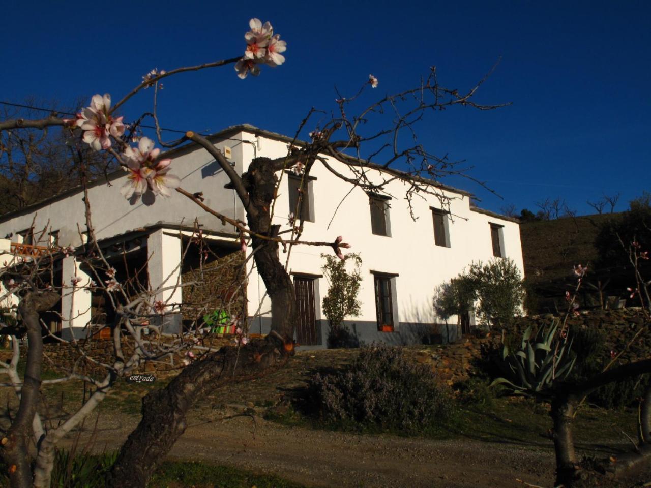 Casa Rural El Paraje De Bérchules Eksteriør billede